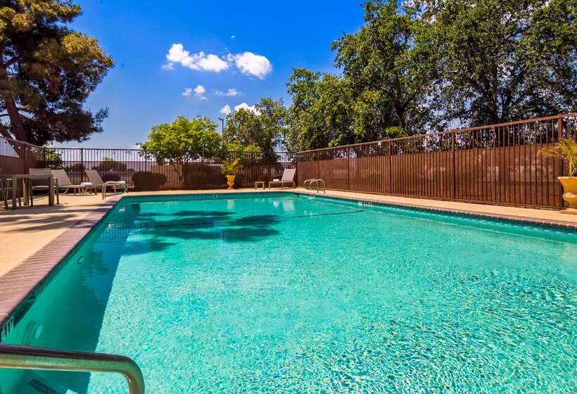 فندق Best Western Visalia