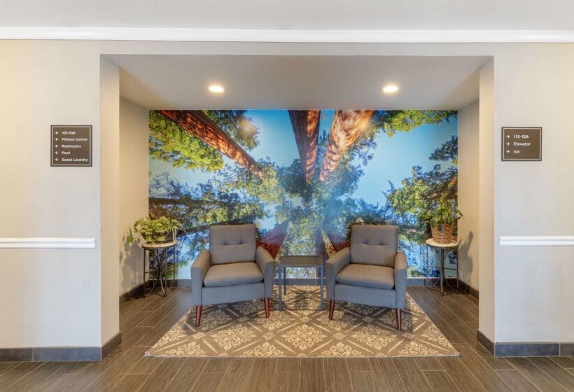 فندق Best Western Visalia