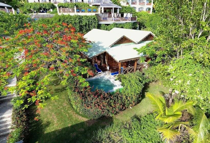 هتل Calabash Cove Resort And Spa   Adults Only