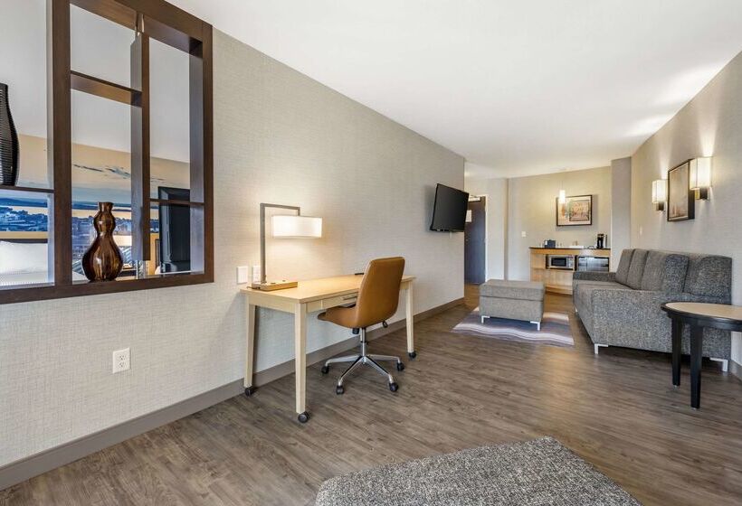 Cambria Hotel Madison East