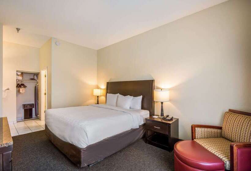 בית מלון כפרי Clarion Inn & Suites Central Clearwater Beach