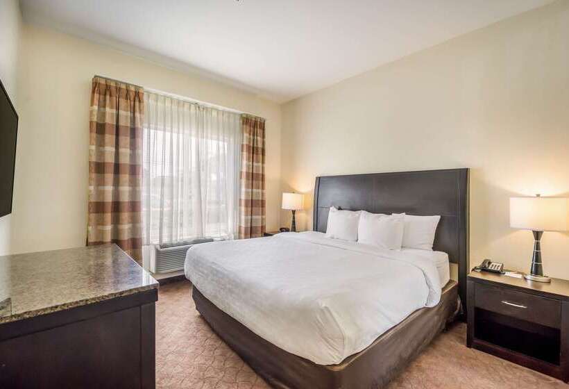 בית מלון כפרי Clarion Inn & Suites Central Clearwater Beach