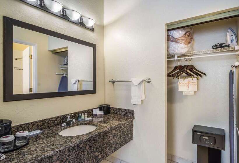 בית מלון כפרי Clarion Inn & Suites Central Clearwater Beach