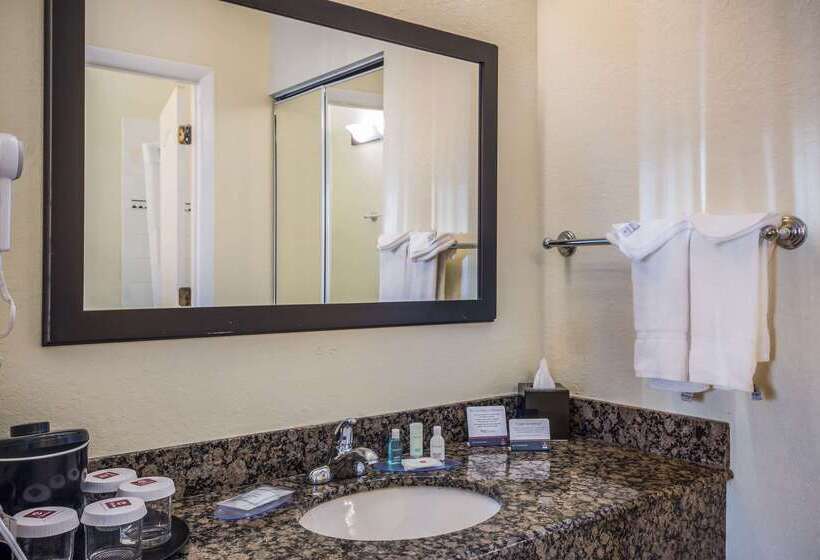 בית מלון כפרי Clarion Inn & Suites Central Clearwater Beach