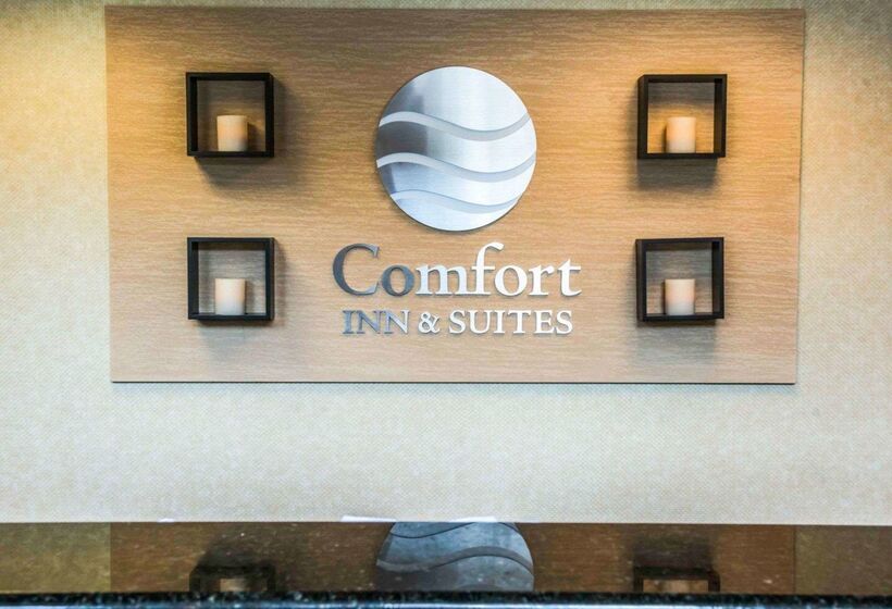 فندق Comfort Inn & Suites Panama City   St Andrew