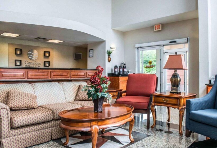 فندق Comfort Inn & Suites Panama City   St Andrew