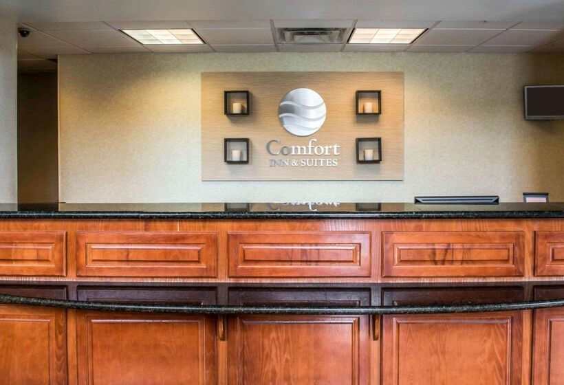 فندق Comfort Inn & Suites Panama City   St Andrew