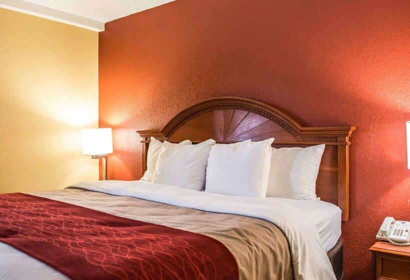 فندق Comfort Inn & Suites Panama City   St Andrew