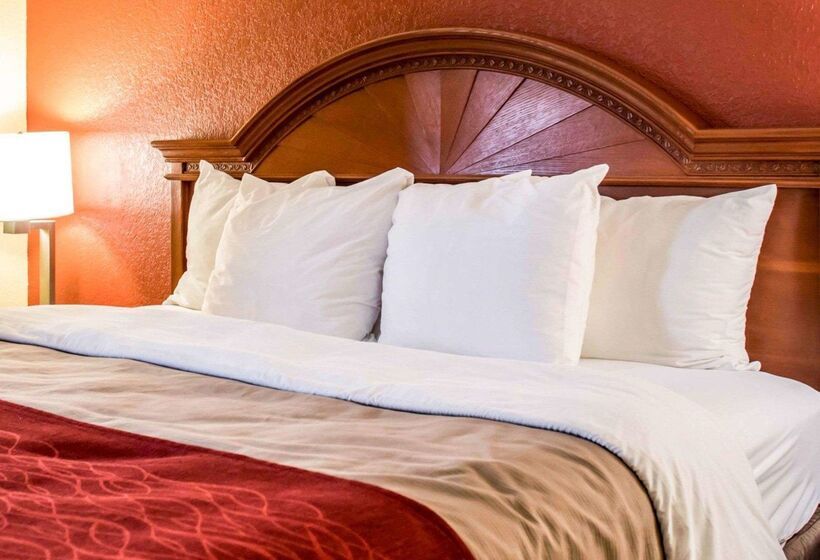 فندق Comfort Inn & Suites Panama City   St Andrew