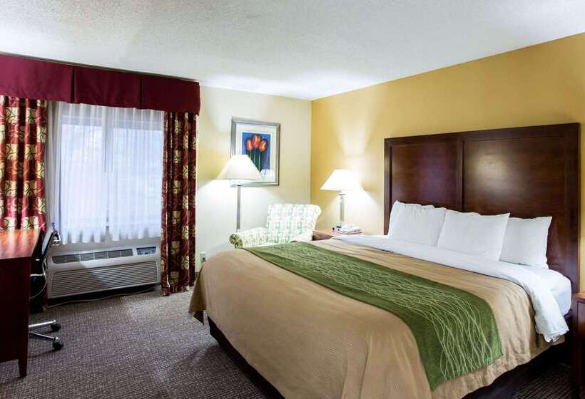 בית מלון כפרי Comfort Inn Columbiabush River