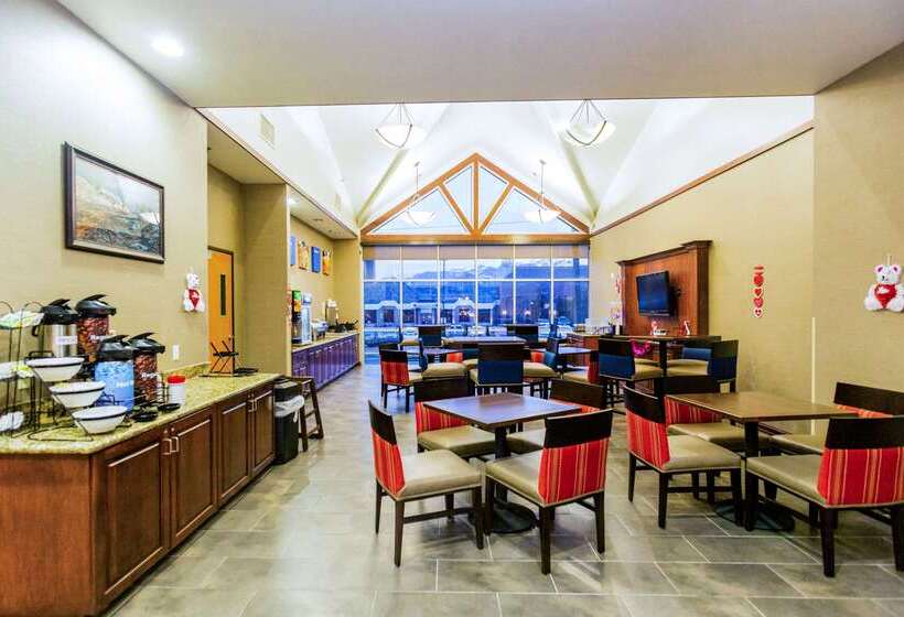 Отель Comfort Inn Downtown