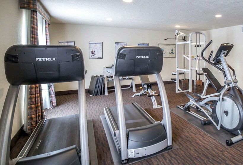 Отель Comfort Inn Downtown