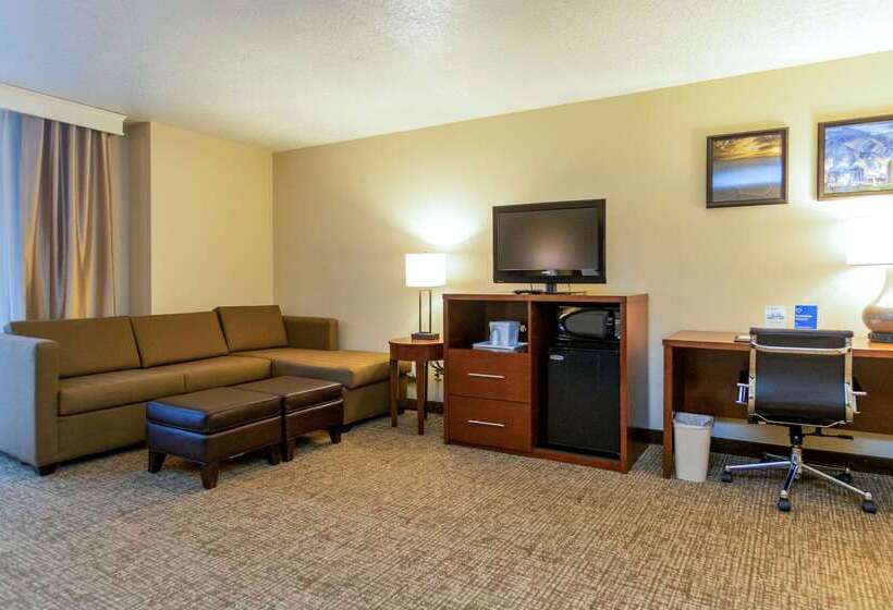 Отель Comfort Inn Downtown