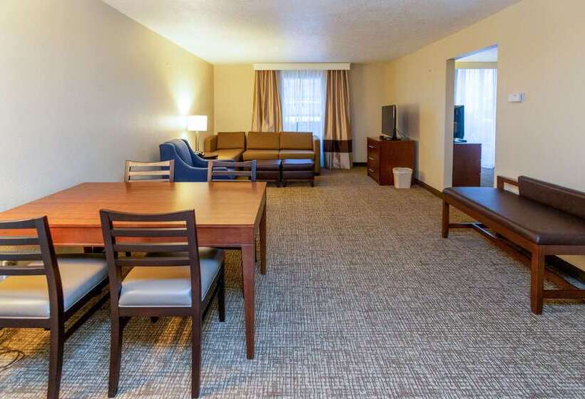 Отель Comfort Inn Downtown