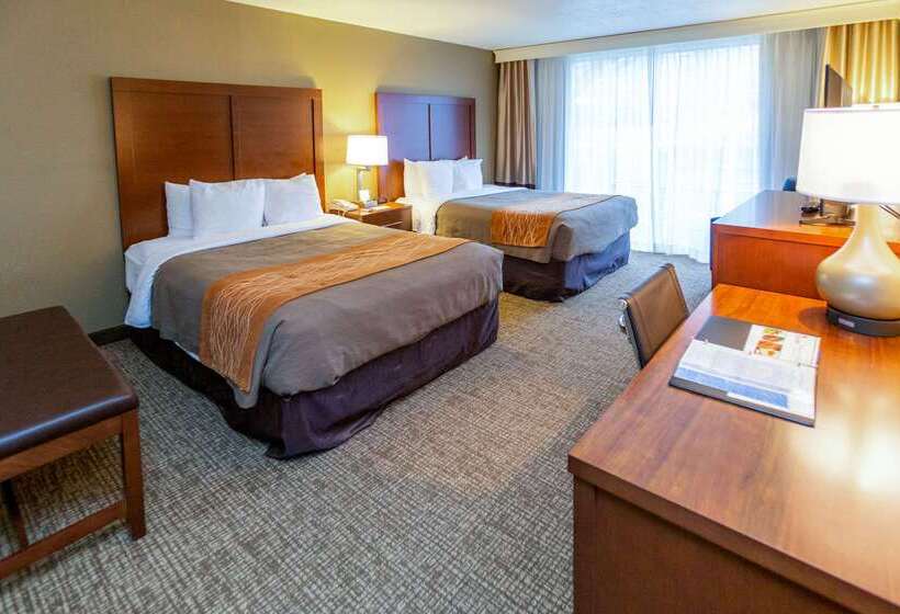 Отель Comfort Inn Downtown