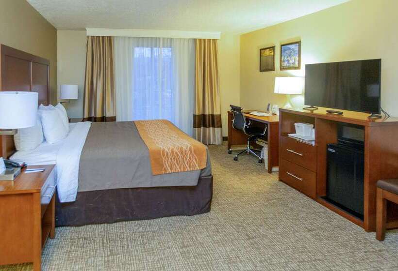 Отель Comfort Inn Downtown