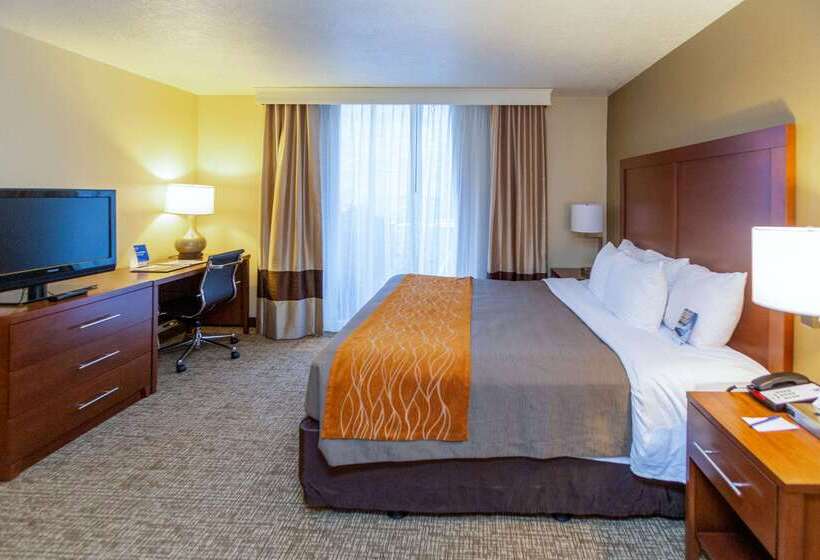 Отель Comfort Inn Downtown