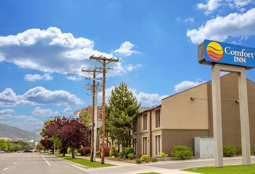 Отель Comfort Inn Downtown