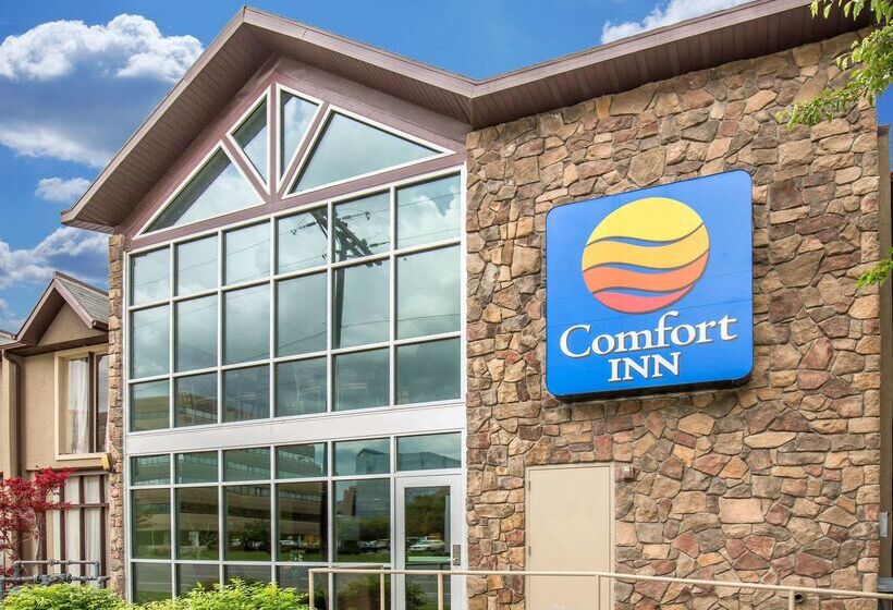 Отель Comfort Inn Downtown
