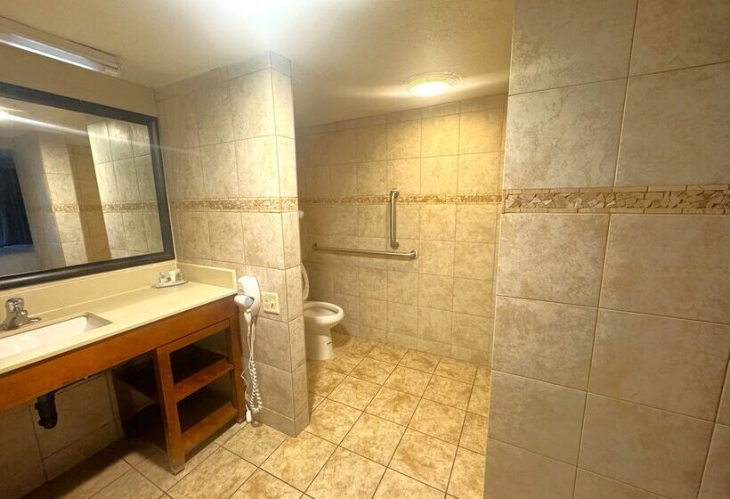 Отель Comfort Inn Downtown