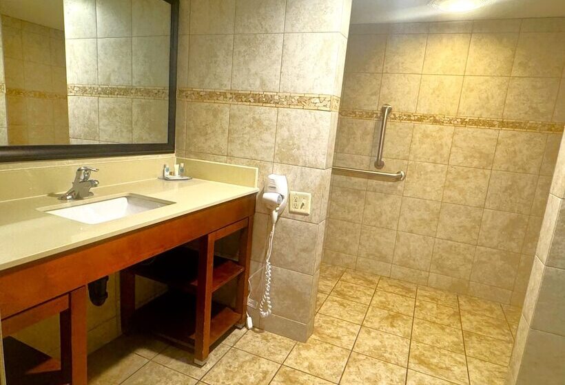 Отель Comfort Inn Downtown