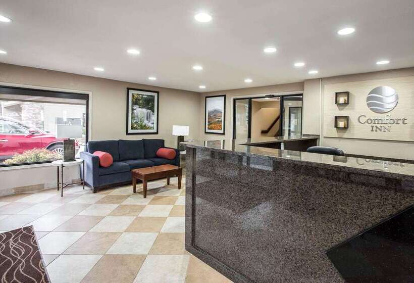 ホテル Comfort Inn Near Great Smoky Mountain National Park
