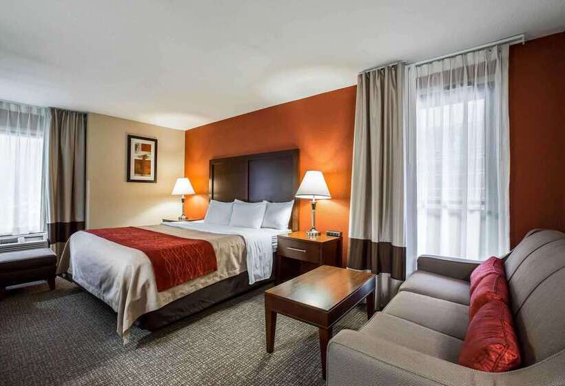 ホテル Comfort Inn Near Great Smoky Mountain National Park