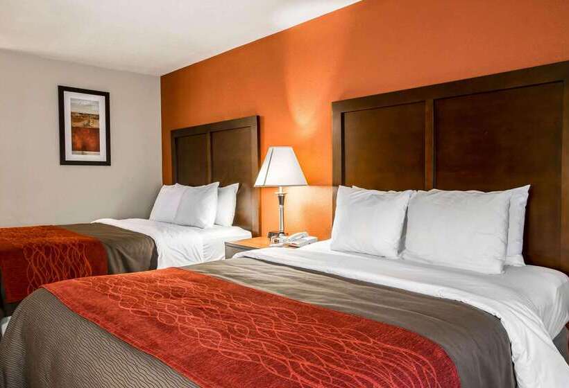 هتل Comfort Inn Near Great Smoky Mountain National Park