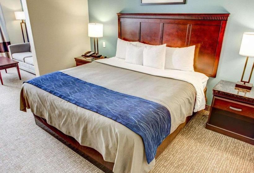 هتل Comfort Inn Near Casino