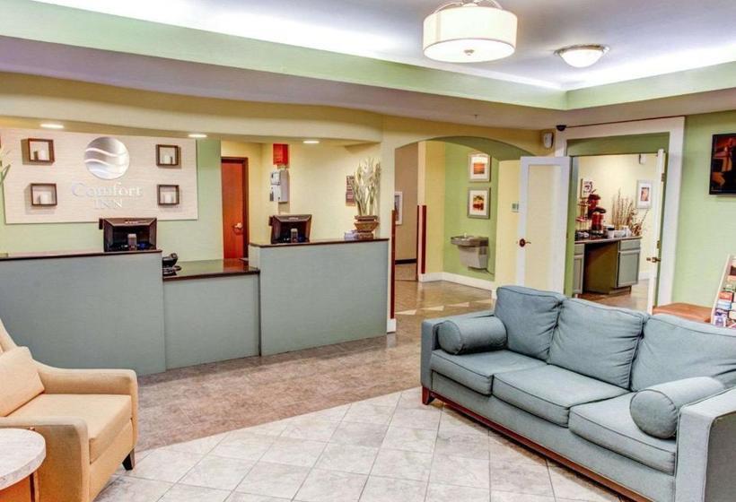 هتل Comfort Inn Near Casino