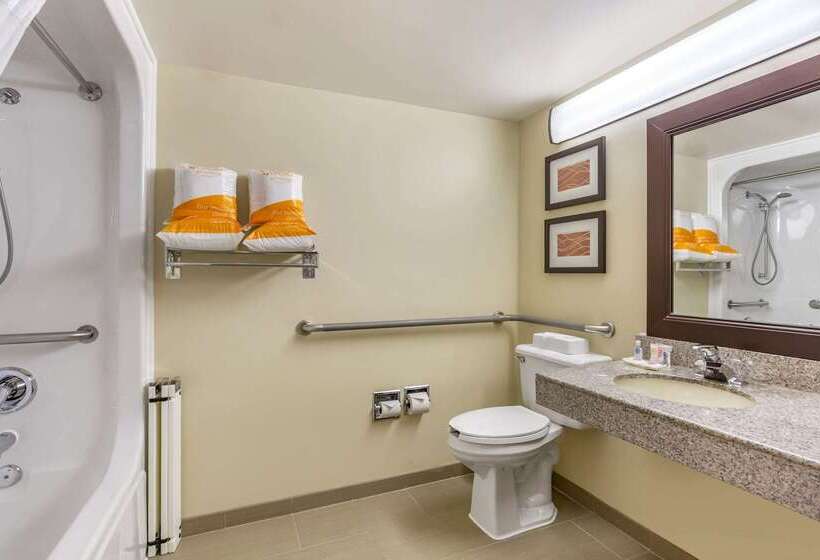 فندق Comfort Inn Quantico