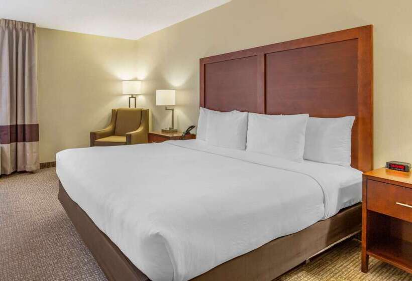 فندق Comfort Inn Quantico