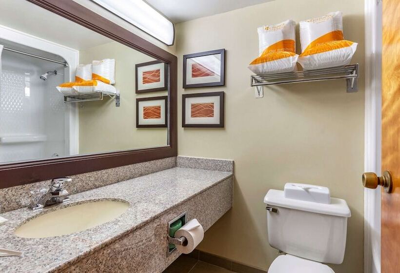 فندق Comfort Inn Quantico