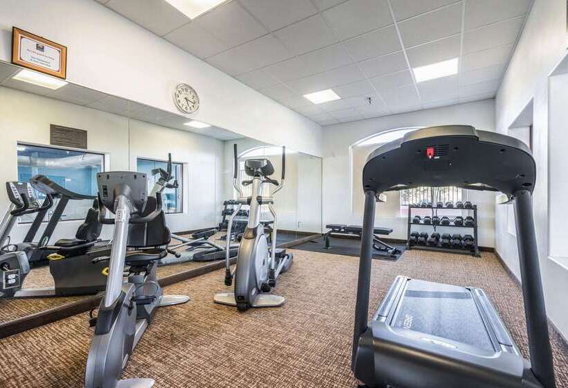 فندق Comfort Inn & Suites