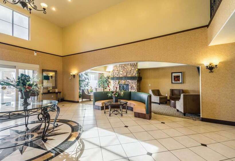 فندق Comfort Inn & Suites