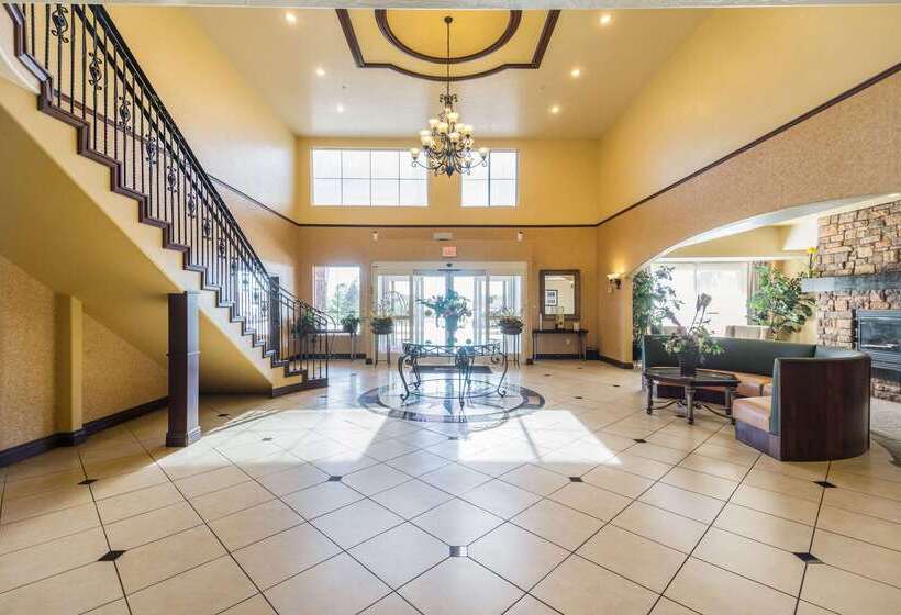 فندق Comfort Inn & Suites