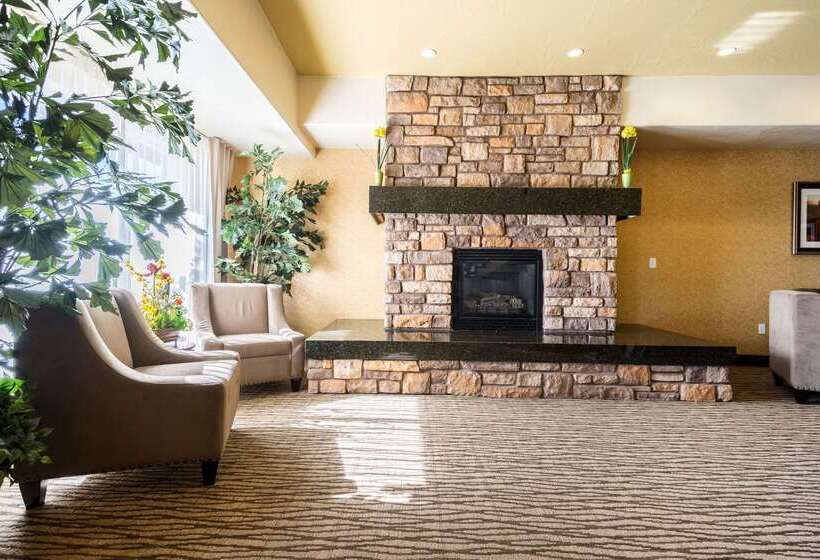 فندق Comfort Inn & Suites