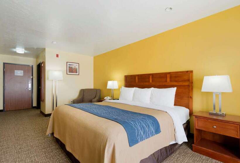 فندق Comfort Inn & Suites