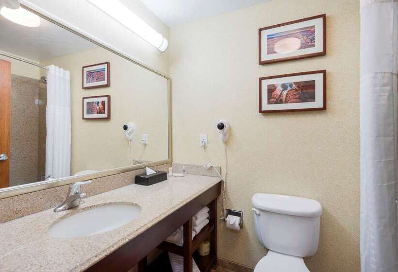 فندق Comfort Inn & Suites