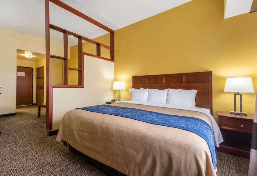 فندق Comfort Inn & Suites