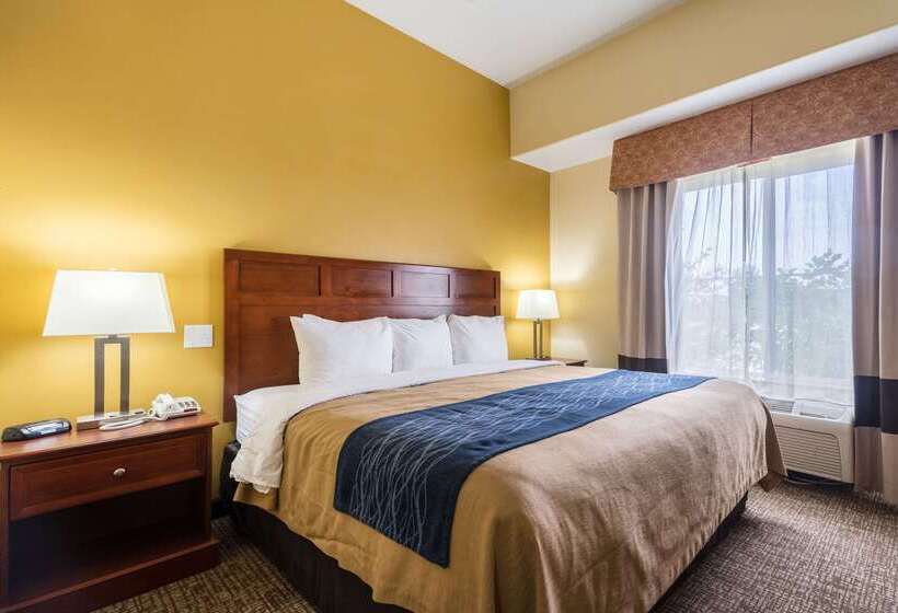 فندق Comfort Inn & Suites