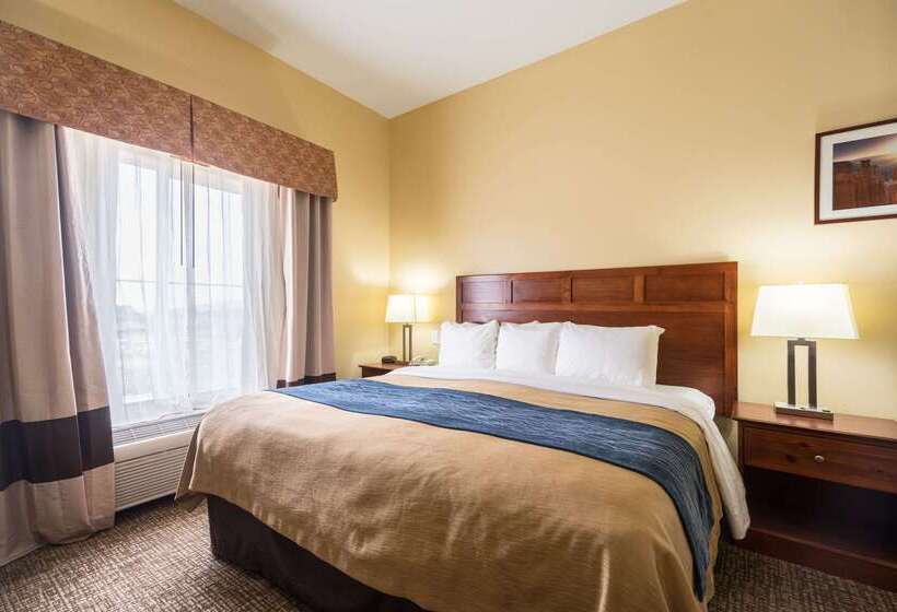 فندق Comfort Inn & Suites