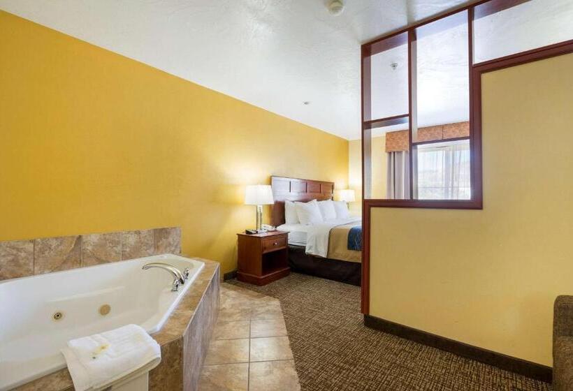 فندق Comfort Inn & Suites