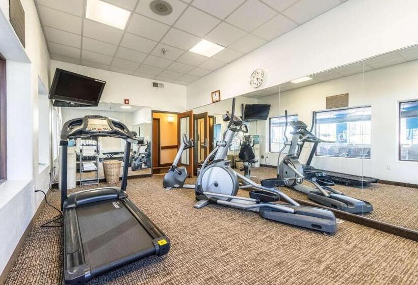 فندق Comfort Inn & Suites