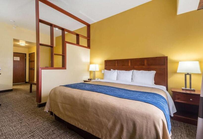 فندق Comfort Inn & Suites