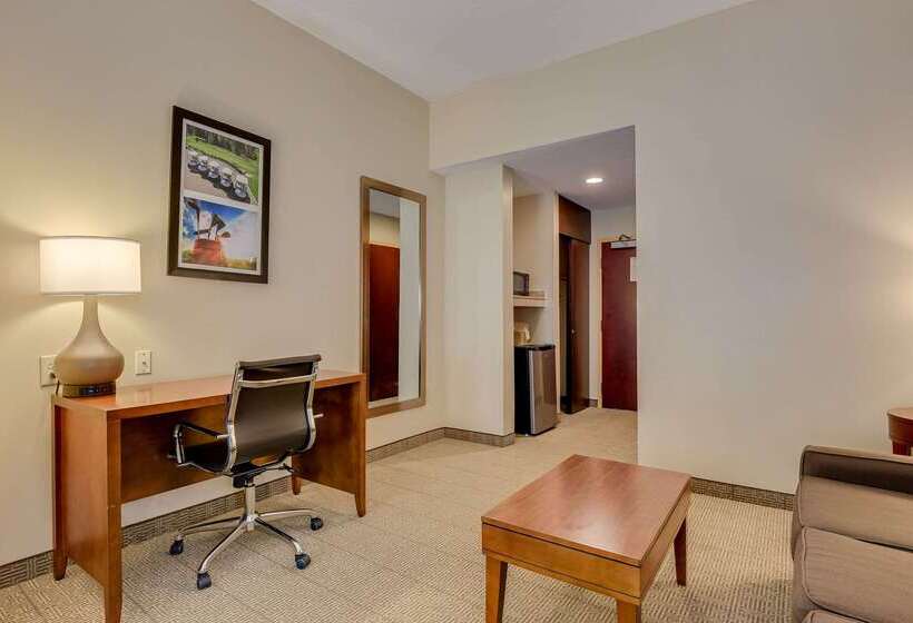 ホテル Comfort Inn & Suites Augusta Fort Eisenhower Area