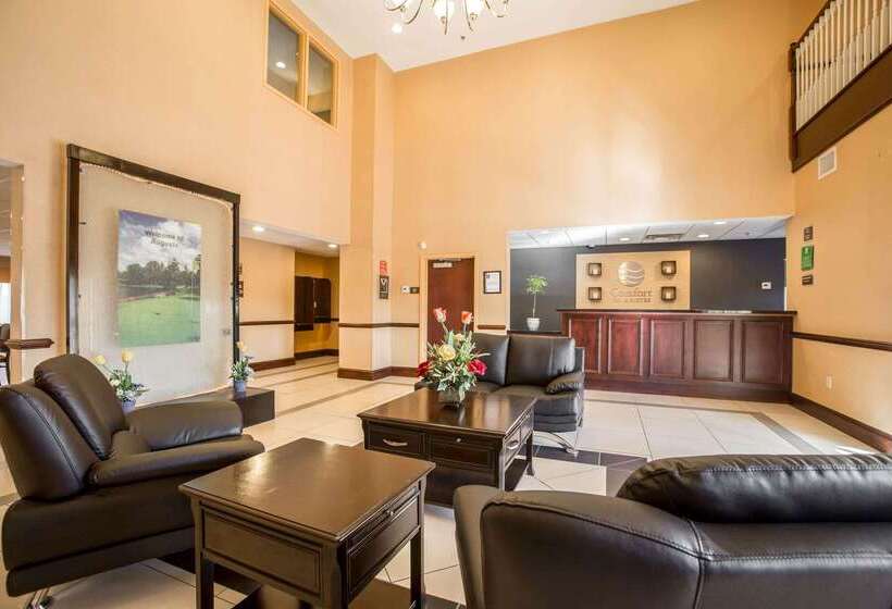 ホテル Comfort Inn & Suites Augusta Fort Eisenhower Area