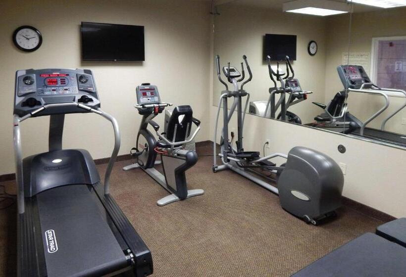 فندق Comfort Inn & Suites Las Cruces Mesilla