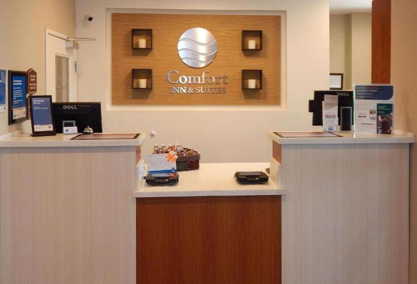 فندق Comfort Inn & Suites Las Cruces Mesilla