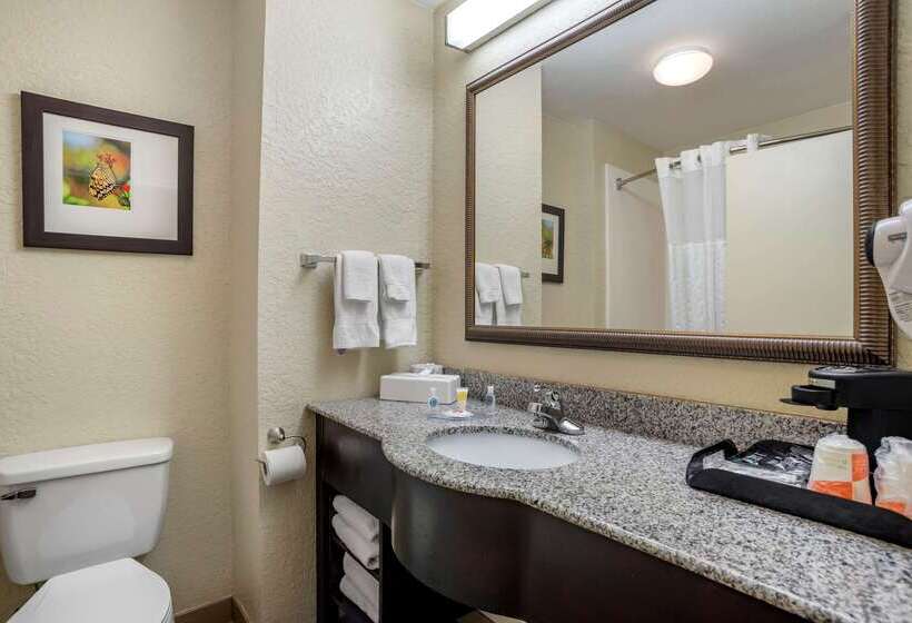 فندق Comfort Inn & Suites Marianna I 10